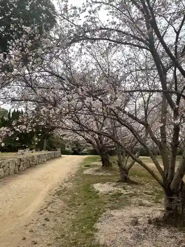 貴船神社の自然