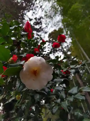 八幡神社の庭園
