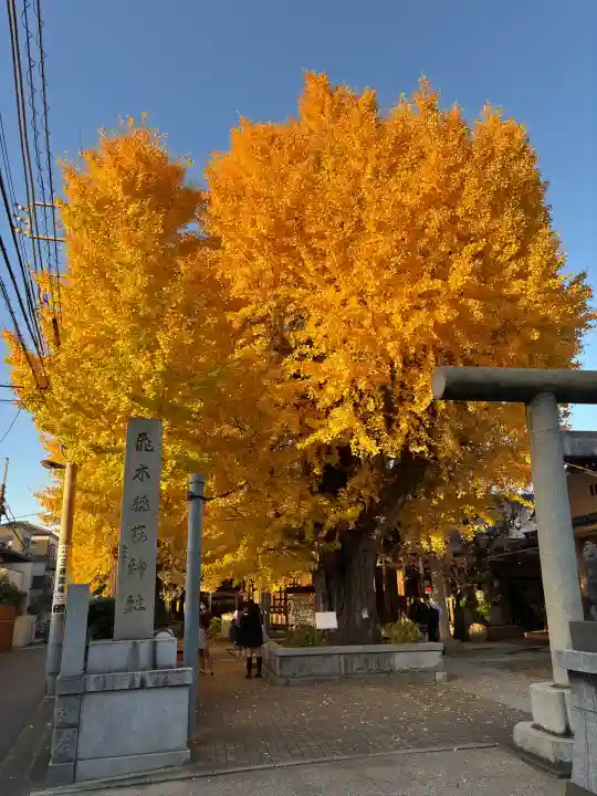 飛木稲荷神社(東京都)