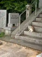 蛭子神社の動物