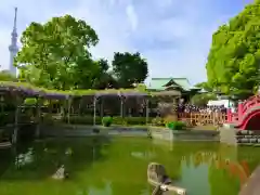 亀戸天神社の景色