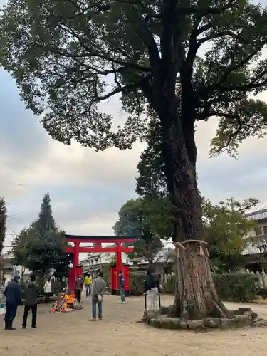 須左男神社(兵庫県)