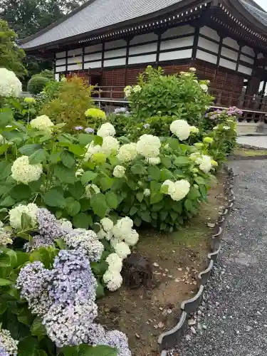能護寺(埼玉県)