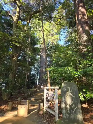 麻賀多神社(千葉県)