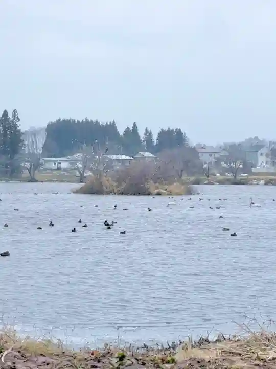 五郎沼薬師神社の{uncategorized: "未分類", other: "その他", undefined: "問題あり", building: "その他建物", grave: "お墓", sacred_gate: "鳥居", guardian: "狛犬", statue: "像", buddha: "仏像", history: "歴史", nature: "自然", garden: "庭園", animal: "動物", pagoda: "塔", temizu: "手水舎", mountain_gate: "山門・神門", sanctuary: "本殿・本堂", subordinate: "末社・摂社", art: "芸術", scenery: "景色", jizo: "地蔵", ema: "絵馬", goshuin: "御朱印", omikuji: "おみくじ", items: "授与品その他", amulet: "お守り", goshuincho: "御朱印帳", eats: "食事", festival: "お祭り", votive_dance: "神楽", shichigosan: "七五三参", wedding: "結婚式", experience: "体験その他", initially: "初詣", around: "周辺", anti_infection: "感染症対策"}