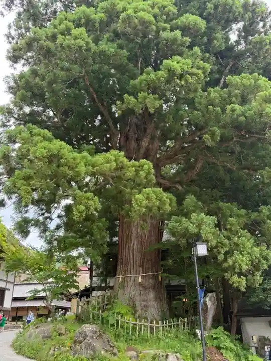 戸隠神社中社(長野県)