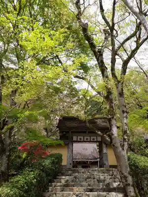 寂光院(京都府)