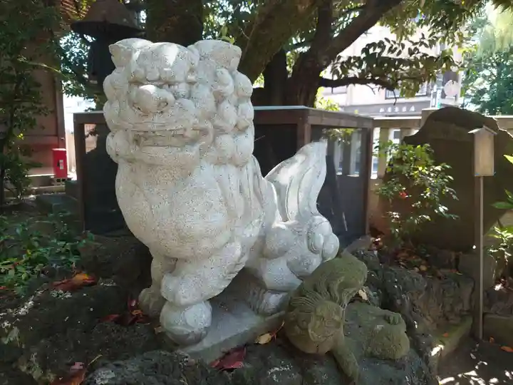 松戸神社の狛犬