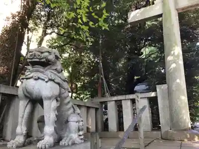 渋谷氷川神社の狛犬