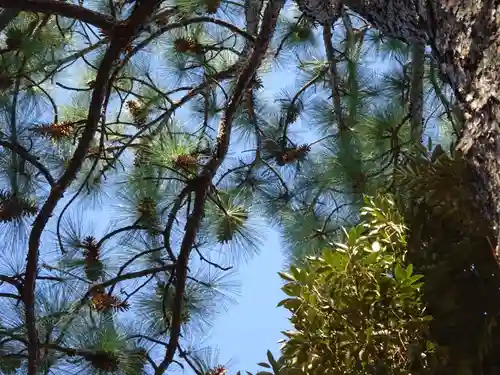 品川神社(東京都)