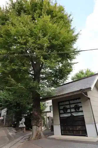 滝野川八幡神社(東京都)