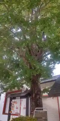 葛飾氷川神社(東京都)