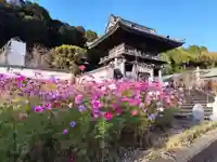 平等寺(徳島県)