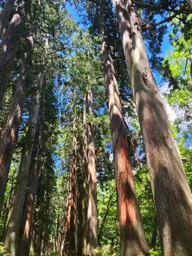 戸隠神社奥社(長野県)