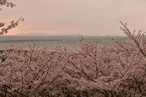瑞龍寺（沖浦観音）(愛媛県)