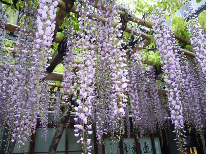亀戸天神社の食事