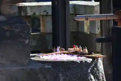 阿邪訶根神社の手水舎