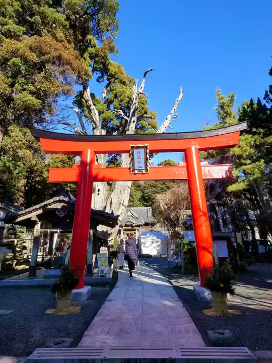 伊古奈比咩命神社(静岡県)