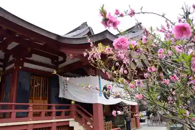 素盞雄神社の本殿・本堂