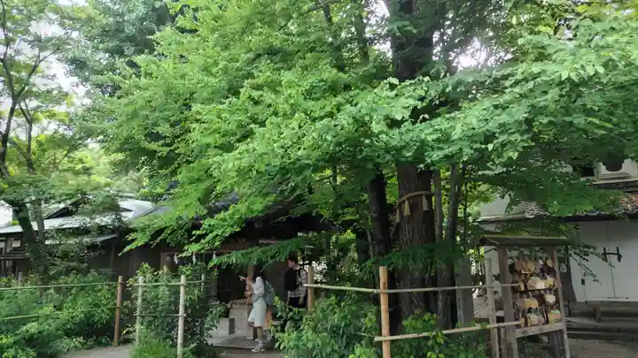 梨木神社(京都府)