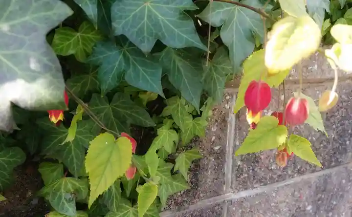 尾張大國霊神社(国府宮)の自然