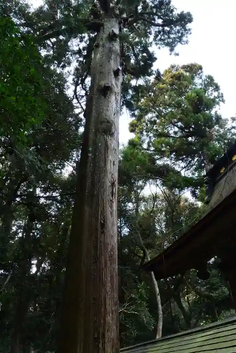 奥宮(鹿島神宮摂社)(茨城県)