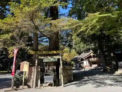 椿大神社(三重県)