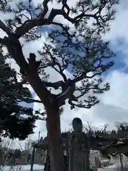 長照寺(福島県)