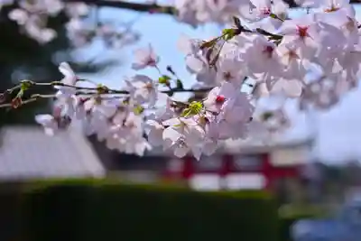 川和八幡神社(神奈川県)