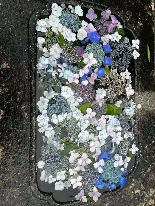 粟井神社(香川県)