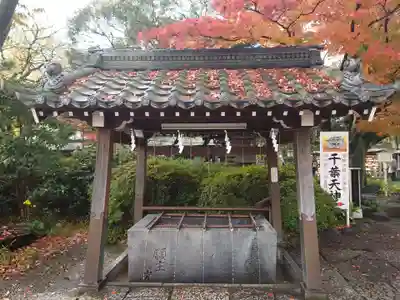 千葉神社の手水舎