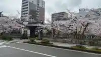 天孫神社の{uncategorized: "未分類", other: "その他", undefined: "問題あり", building: "その他建物", grave: "お墓", sacred_gate: "鳥居", guardian: "狛犬", statue: "像", buddha: "仏像", history: "歴史", nature: "自然", garden: "庭園", animal: "動物", pagoda: "塔", temizu: "手水舎", mountain_gate: "山門・神門", sanctuary: "本殿・本堂", subordinate: "末社・摂社", art: "芸術", scenery: "景色", jizo: "地蔵", ema: "絵馬", goshuin: "御朱印", omikuji: "おみくじ", items: "授与品その他", amulet: "お守り", goshuincho: "御朱印帳", eats: "食事", festival: "お祭り", votive_dance: "神楽", shichigosan: "七五三参", wedding: "結婚式", experience: "体験その他", initially: "初詣", around: "周辺", anti_infection: "感染症対策"}