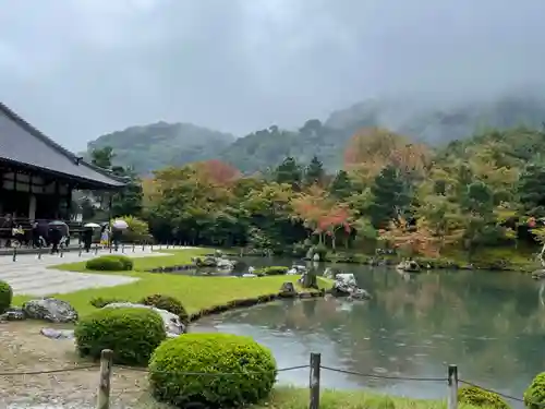 天龍寺の庭園