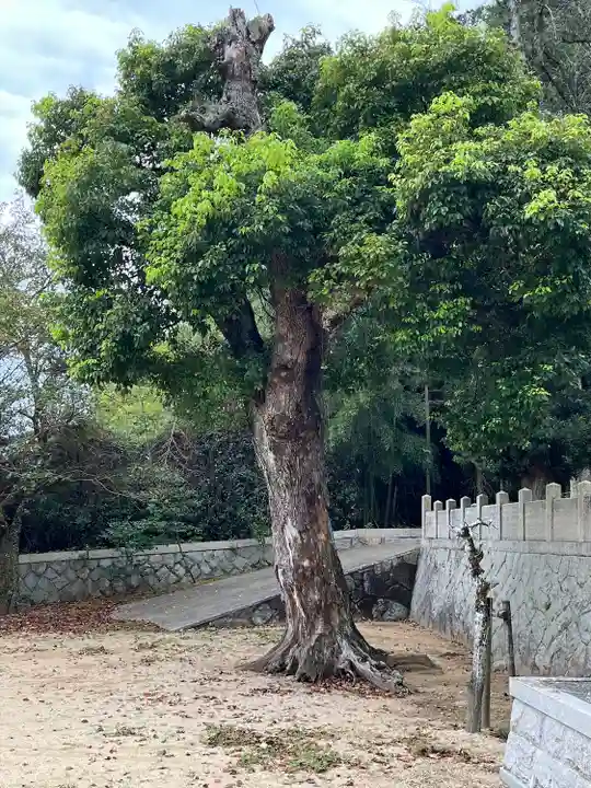 八幡神社(兵庫県)