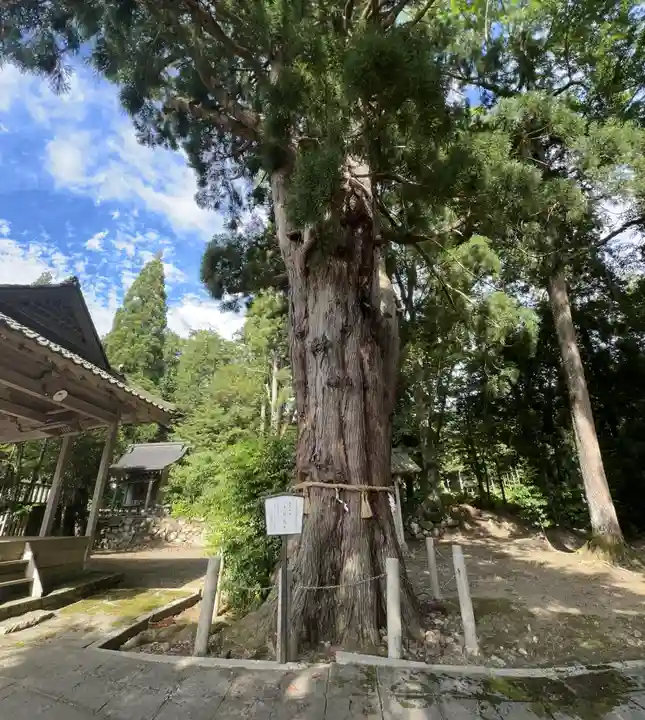 加茂神社(福井県)
