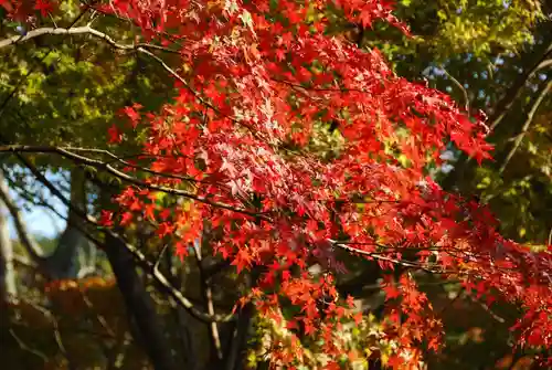 妙徳寺(山口県)