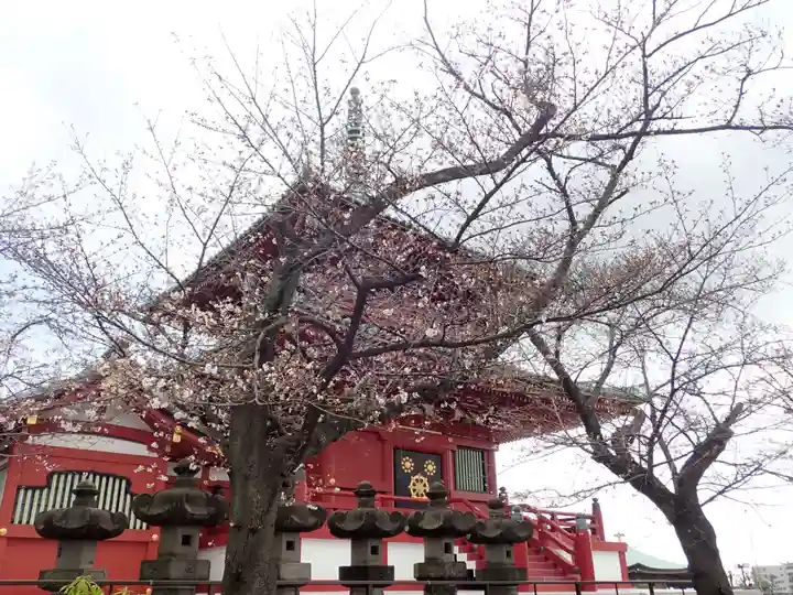 孝道山の御朱印