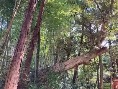 神岡稲荷神社(茨城県)