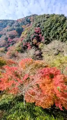 勝尾寺(大阪府)