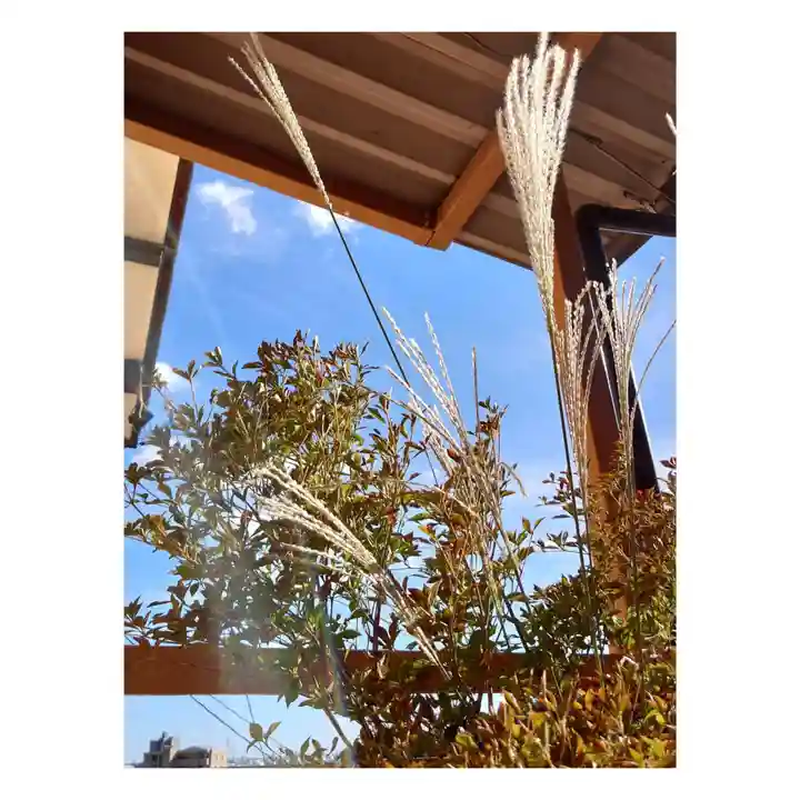 岐阜稲荷山本社(岐阜県)