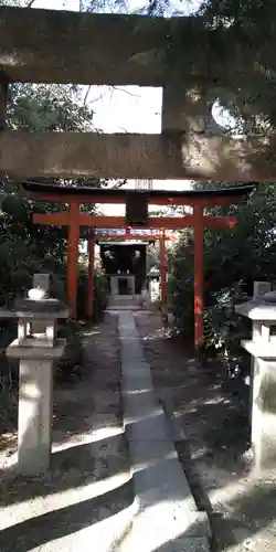 常吉須佐男神社の鳥居