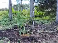 人舞神社(北海道)