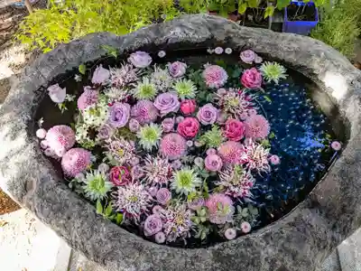 発寒神社(北海道)