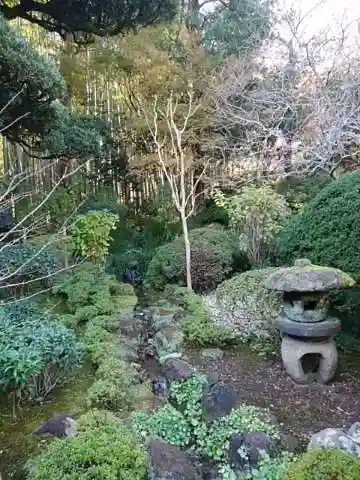 報国寺の庭園