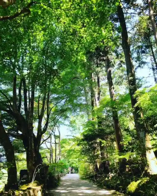 国宝 長寿寺の自然