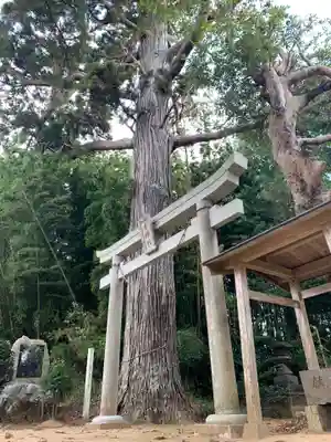 水神社(千葉県)