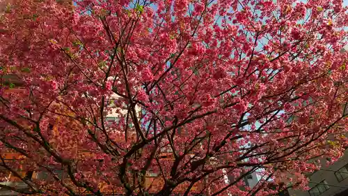 蔵前神社(東京都)
