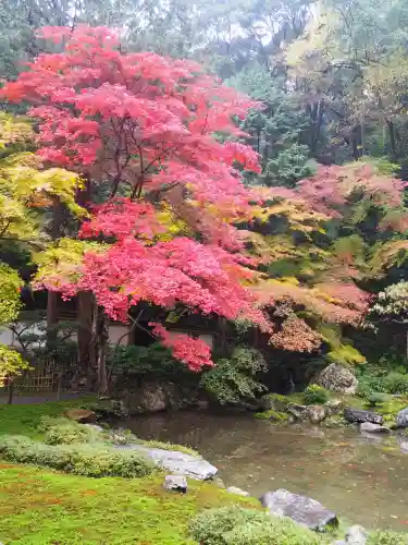 南禅院(京都府)