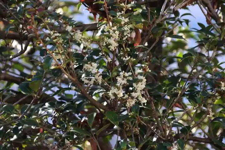 愛宕神社の周辺