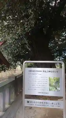 井出上神社の自然